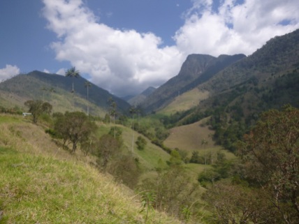 Salento, valle de Cocora, Colombia