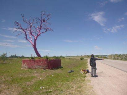Hitch hiking between Merlo and Medellin, 4h30 waiting next to the pink tree