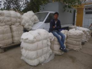 Cotton wholeseller, Khiva, Uzbekistan
